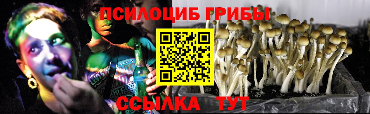 Галлюциногенные грибы GOLDEN TEACHER  Вход с VPN  Братск  Галлюциногенные грибы прущие грибы 